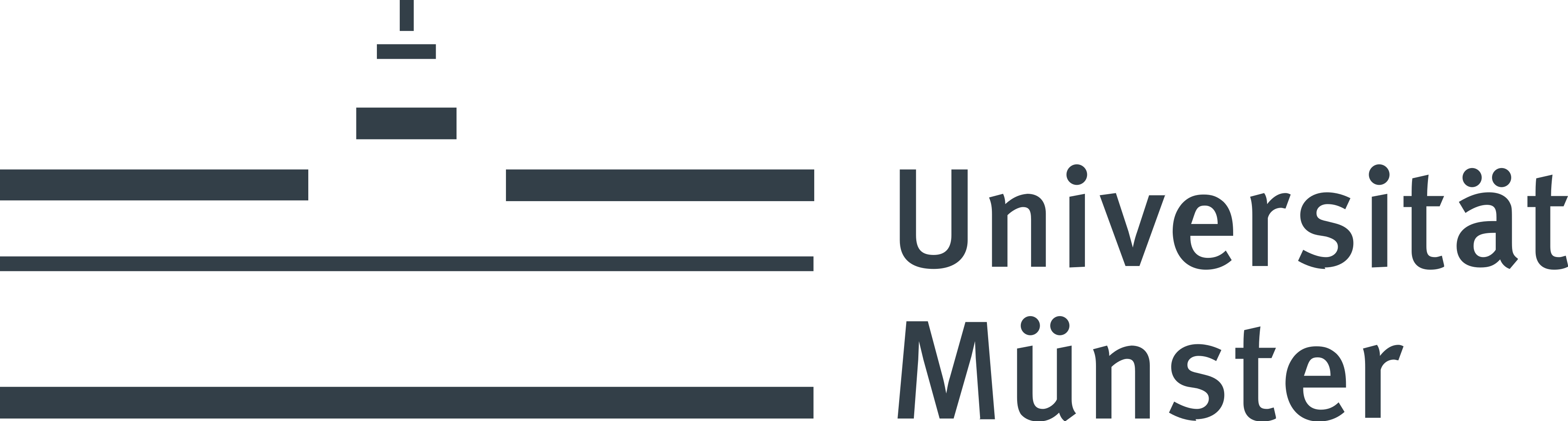 University of M&uuml;nster